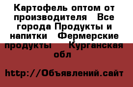 Картофель оптом от производителя - Все города Продукты и напитки » Фермерские продукты   . Курганская обл.